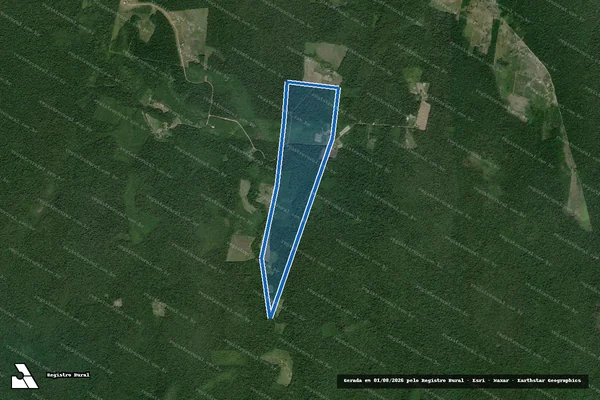 Imagem de satélite de Fazenda Bacana - Fazenda Bacana em Cantá - RR