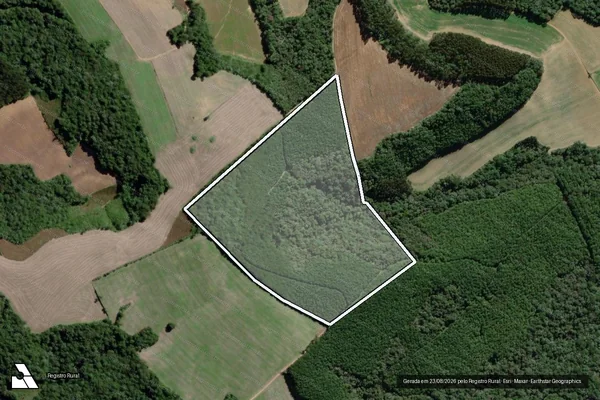 Imagem de satélite de Fazenda Carqueja ? Área 01 - Autos3867_50 em Lapa - PR