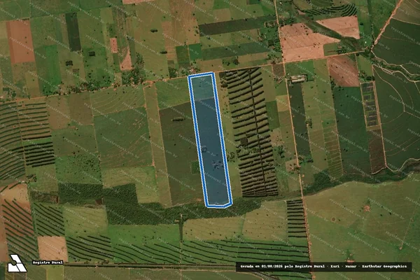 Imagem de satélite de FAZENDA MAMÃE ALDEGONDA - Parte 01 em Ivinhema - MS
