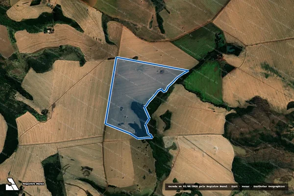 Imagem de satélite de FAZENDA TERRAS NOVAS E PASTO OLHO D ÁGUA - Gleba 02 em Paraúna - GO