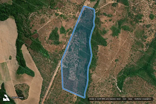 Imagem de satélite de FAZENDA FLORESTA, LOTE Nº 75, GLEBA ANAJA, LOTº. GARÇAS - Gleba 01 em Palmeirante - TO