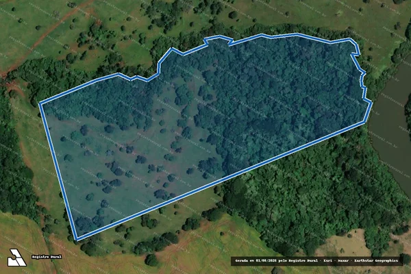 Imagem de satélite de FAZENDA CAPÃO DOS PORCOS - Matrícula 3.990 em Sacramento - MG
