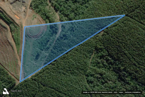 Imagem de satélite de Fazenda São Nicolau em Arapoti - PR