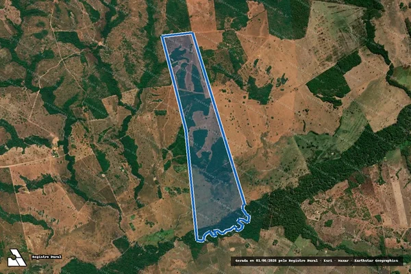 Imagem de satélite de FAZENDA FERNANDÓPOLIS - MAT-1392 em Divinópolis do Tocantins - TO