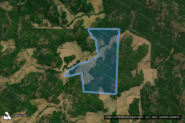 Imagem de satélite de FAZENDA SANTA VITÓRIA - Parte 01 Curuaes em Altamira - PA