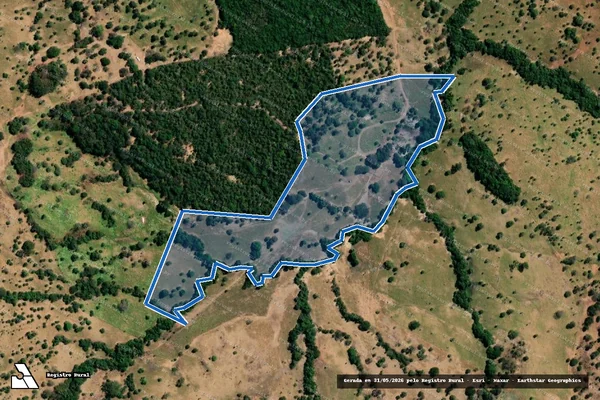 Imagem de satélite de FAZENDA MORADOR - GLEBA 3 em Novo Brasil - GO