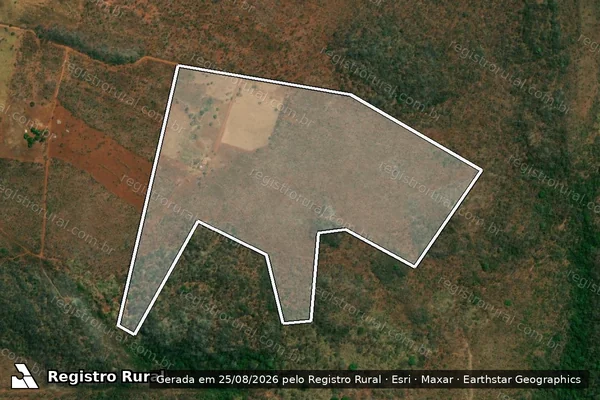 Imagem de satélite de PROJETO DE ASSENTAMENTO MARIA CÍCERA DAS NEVES - Lote 53 em Vila Propício - GO