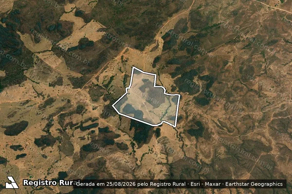 Imagem de satélite de Fazenda Brejão, no lugar denominado Campo Formoso e ainda conhecido como Lagoa da Pedra - Remanescente em Divinópolis de Goiás - GO