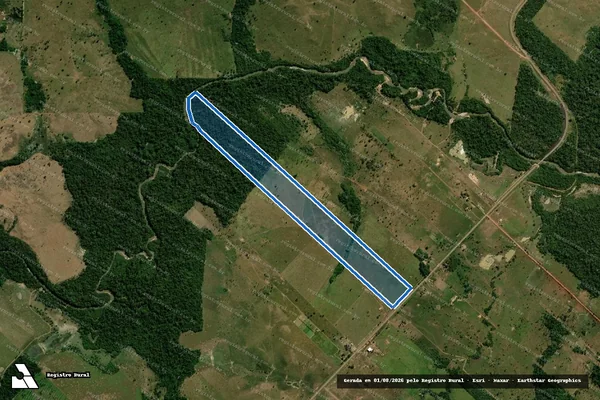 Imagem de satélite de LOTE 07 GLEBA 07 GLEBA D?JARU UARU SETOR REDENÇÃO I - LOTE 07 GLEBA 07 GLEBA D?JARU UARU SETOR REDENÇÃO I em Alvorada D'Oeste - RO