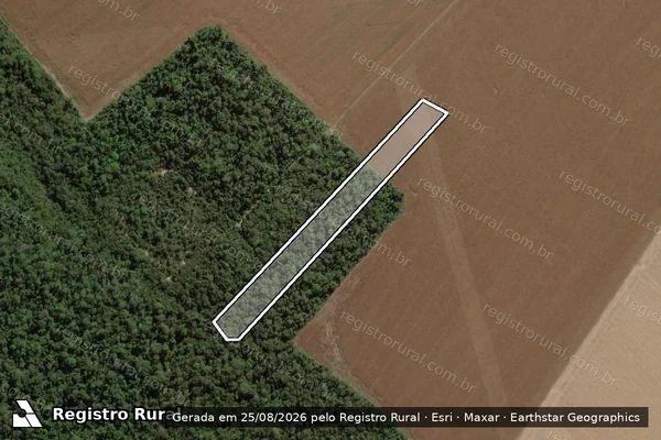 Imagem de satélite de LOTE Nº 58 - LOTE N° 58 ? GLEBA D em Sinop - MT