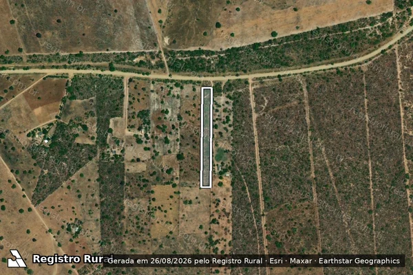 Imagem de satélite de FAZENDA ALAGAMAR - Gleba I em Alvorada do Norte - GO