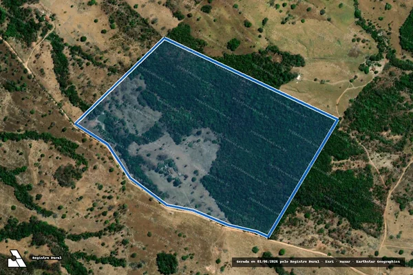 Imagem de satélite de Lote 16 ? Projeto de Assentamento Engenho Velho - Lote 16 em Goiás - GO