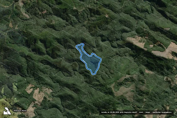 Imagem de satélite de ÁREA TRES BARRAS - LOTE INTEIRO em Campo Largo - PR