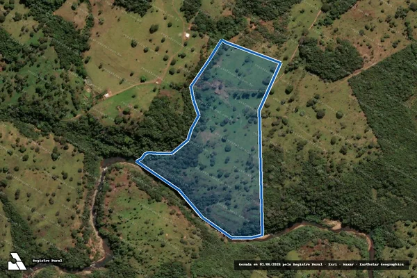 Imagem de satélite de FAZENDA VARGEM OU CAPINAL - Gleba 07 em Pirenópolis - GO
