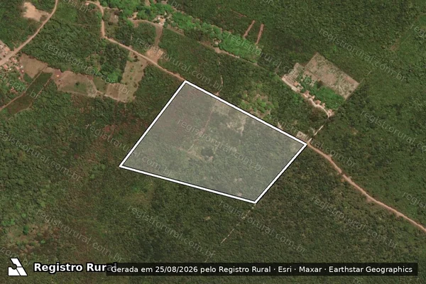 Imagem de satélite de SAO BENEDITO - LOTE 15 em Cocal - PI