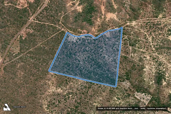 Imagem de satélite de SÃO GABRIEL - DATA BRAÇO - PARCELA 02 em Bertolínia - PI