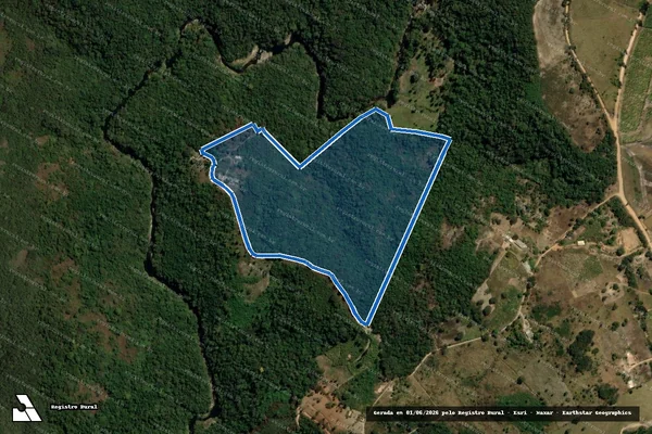 Imagem de satélite de Lote 29 - Projeto de Assentamento Ho Chi Minh - Parte 1 em Nova União - MG
