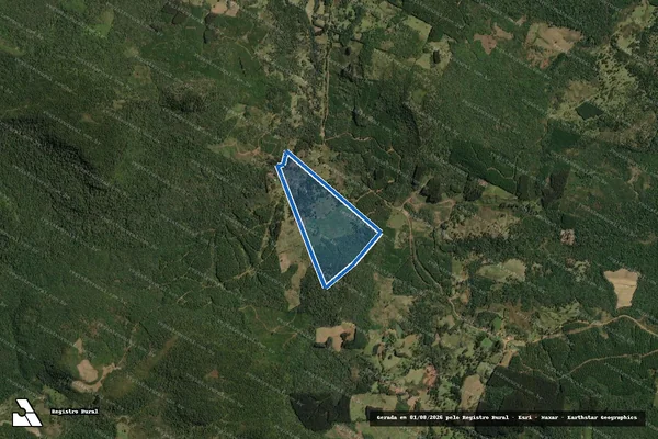 Imagem de satélite de Fazenda Calmon III - Matrícula 7.181 em Timbó Grande - SC