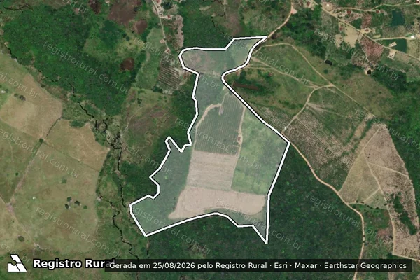 Imagem de satélite de FAZENDA NOSSA SENHORA APARECIDA - GLEBA01 em Valença - BA