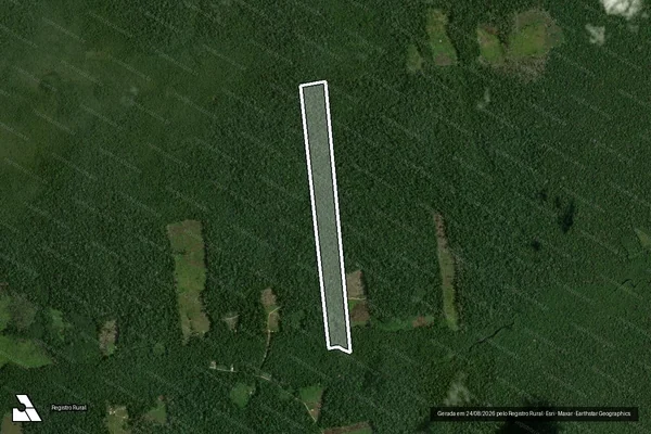 Imagem de satélite de Gleba Campinarana - Lote 555 / Lote 555