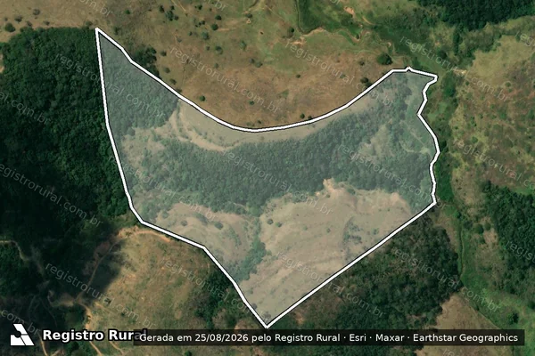 Imagem de satélite de FAZENDA NOVA BOA ESPERANCA - Parte 1 em Leopoldina - MG