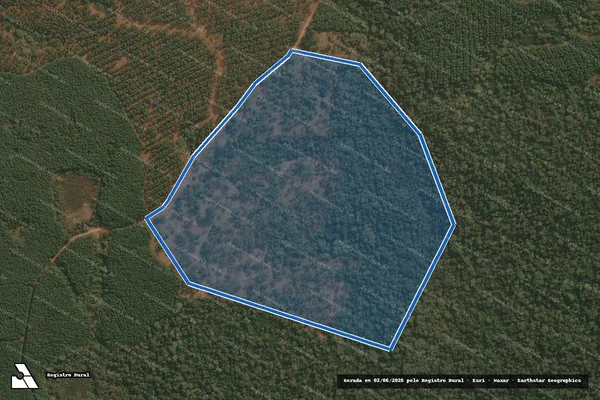 Imagem de satélite de FAZENDA TAGUÁ - Gleba 02 em Cruz Machado - PR