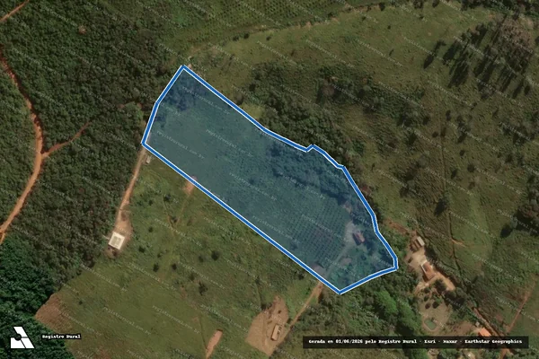 Imagem de satélite de LUGAR DENOMINADO "MARINHO" - MARINHO em Belo Vale - MG