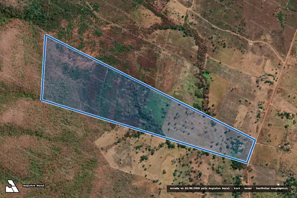 Imagem de satélite de P.A Bucaina ? Lote nº 67 - P.A Bucaina - Lote nº 67 em Flores de Goiás - GO