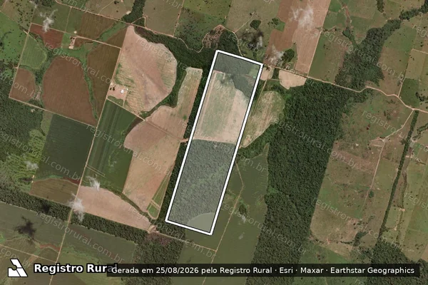 Imagem de satélite de Fazenda Aliança -Lote Rural n° 258/1 - Fazenda Aliança -Lote Rural n° 258/1 em Alta Floresta - MT
