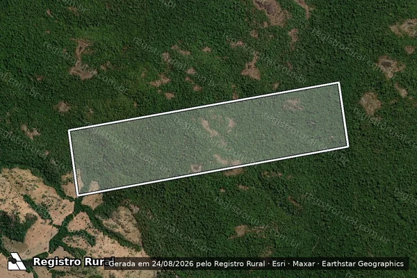 Imagem de satélite de FAZENDA SANTA LUZIA em Paranaíta - MT