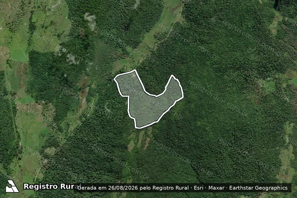 Imagem de satélite de FAZENDA NOGUEIRA - GLEBA 02 em Ilhéus - BA