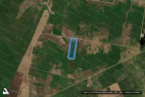 Imagem de satélite de Lote 258 ? Projeto de Assentamento Tamarineiro II - Sul - Lote 258 em Corumbá - MS