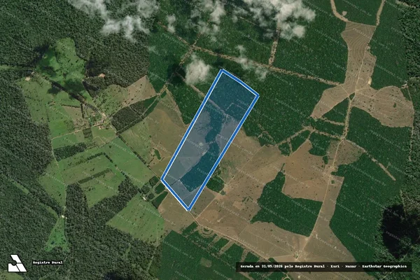 Imagem de satélite de Fazenda São Leopoldo - Parte 1 em Belterra - PA