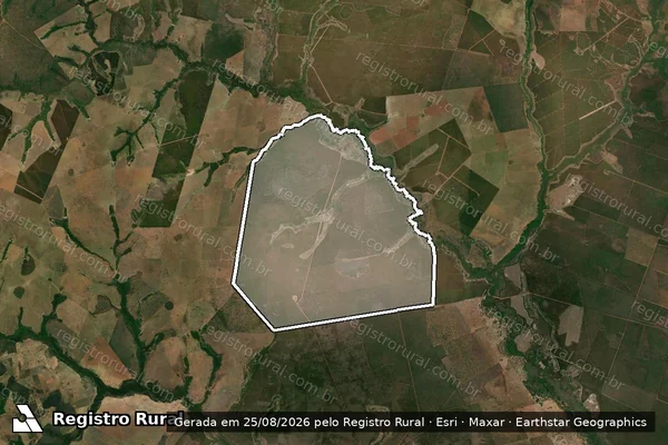 Imagem de satélite de FAZENDA LAGOA DOS BURITIS - FAZENDA LAGOA DOS BURITIS em Selvíria - MS