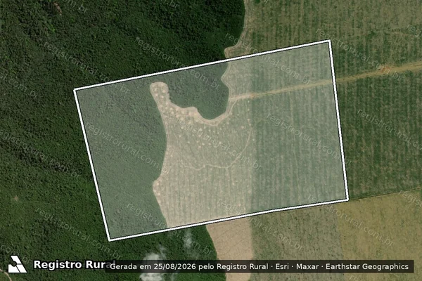 Imagem de satélite de Fazenda Panorama / Parte 1