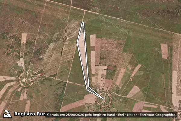 Imagem de satélite de FAZENDA VALE DO GURGUÉIA/CAJUNORTE - Célula T ? Lote 29 em Canto do Buriti - PI