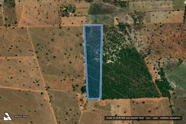 Imagem de satélite de FAZENDA ROÇA - Gleba 01 em Arinos - MG
