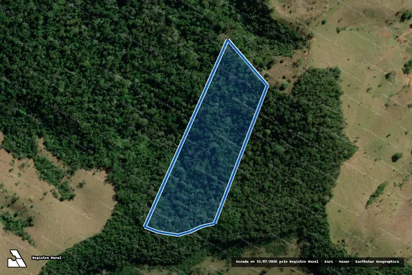 Imagem de satélite de FAZENDA CAPIXABA - 07 em Muriaé - MG