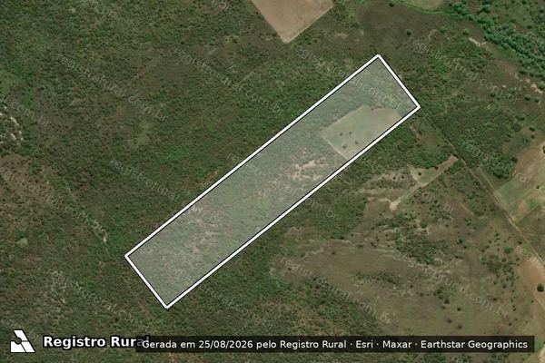 Imagem de satélite de Projeto de Assentamento Fazenda Hipólito ? Lote 115 - Parte 1 em Mossoró - RN