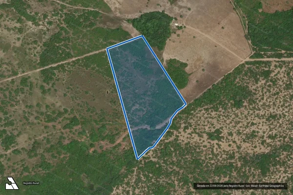 Imagem de satélite de AGROPECUÁRIA XAVIER 9 - Parcela 1 em Monte Alegre - PA