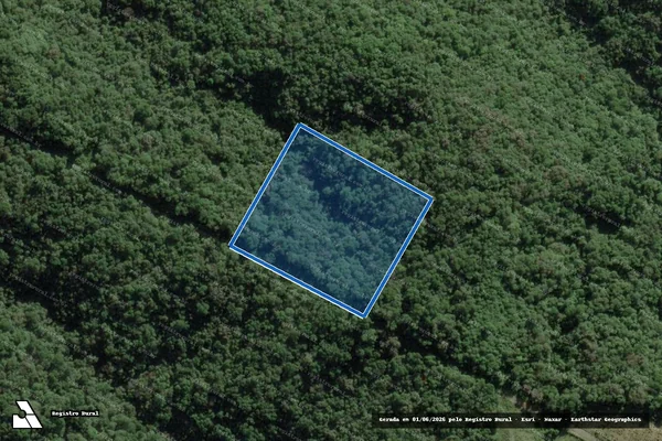 Imagem de satélite de FAZENDA MARINO DIVISAO - PARCELA 04 em Campo Largo - PR