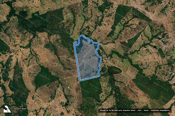Imagem de satélite de FAZENDA MORADOR - Parcela 1 em Novo Brasil - GO