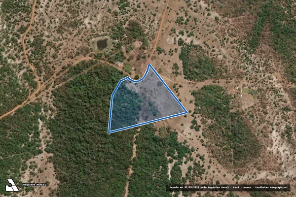 Imagem de satélite de TOCAIA ,Parte 2 - Gleba 01 em Campo Maior - PI
