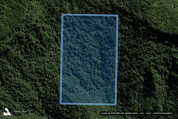 Imagem de satélite de Mtr 1290 - Parcela 1 em Rio do Campo - SC