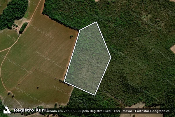 Imagem de satélite de FAZENDA SANTA BÁRBARA lugar denominado BASTARDO - GLEBA 09 - 001 em Orizona - GO