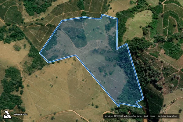 Imagem de satélite de Fazenda Capetinga - Parcela 1 em Divisa Nova - MG