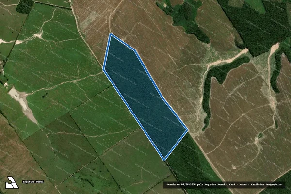 Imagem de satélite de Fazenda Centro do Nazaré - Parte 1 em Parnarama - MA