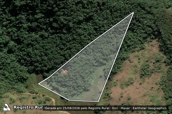 Imagem de satélite de Sítio São Raphael - venda em Leopoldina - MG