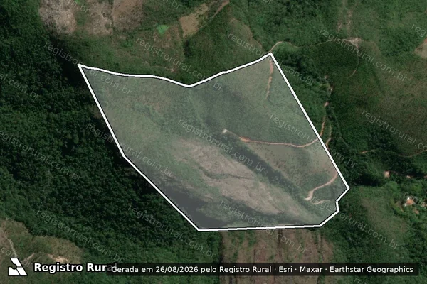 Imagem de satélite de FAZENDA DO MAINARD - FAZENDA DO MAINARD em Mariana - MG