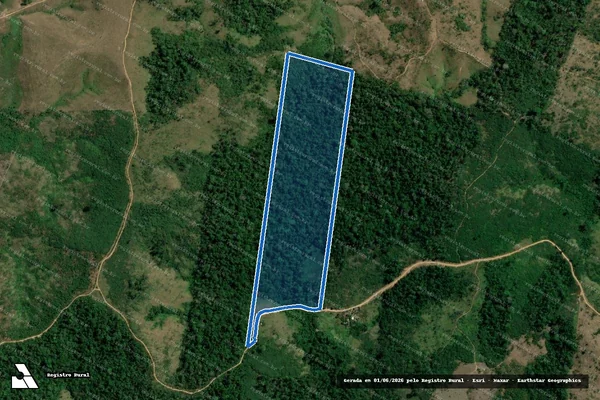 Imagem de satélite de LOTE 115 - PA RIO CURURUÍ - GLEBA TUERÊ - Parte 1 em Pacajá - PA